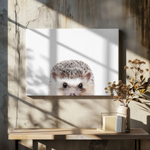 Canvas Art Print Peeking Hedgehog