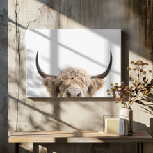 Canvas Art Print Peeking Cow