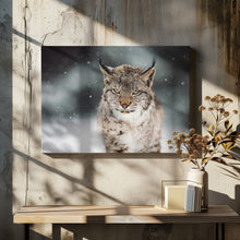 Canvas Art Print The Eurasian lynx (Lynx lynx)