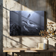 Canvas Art Print On the reef