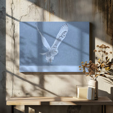 Canvas Art Print Snowy Owl