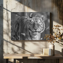 Canvas Art Print Tiger in The Motion