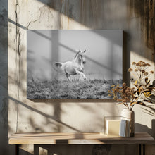 Canvas Art Print a short story about gallop