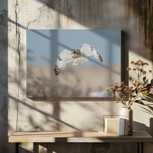 Canvas Art Print Short-eared Owl