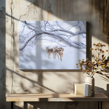 Canvas Art Print Deers' Walk in Snow