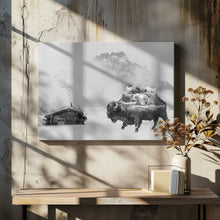 Canvas Art Print Bison