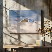 Canvas Art Print Sandhill Crane Flying in Clouds