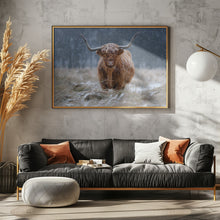 Art Prints of Snowy Highland cow