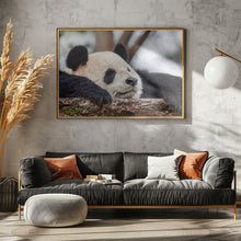 Art Prints of Sleeping