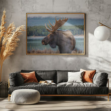 Art Prints of Moose