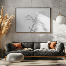 Art Prints of Transparent Wings