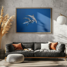 Art Prints of Bottlenose dolphin family