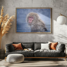 Art Prints of Snow Monkey