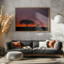 Art Prints of Elephant at sunset