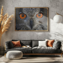 Art Prints of Staring at ....