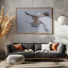 Art Prints of Great Grey Owl