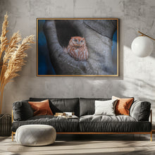 Art Prints of Eastern Screech Owl (Red Morph)