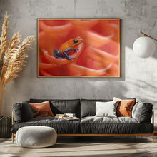 Art Prints of Strawberry poison-dart frog