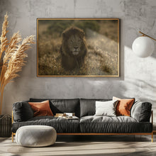 Art Prints of olope male lion