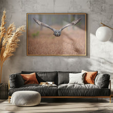 Art Prints of Great grey owl