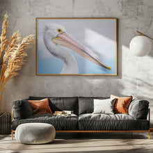 Art Prints of pelican