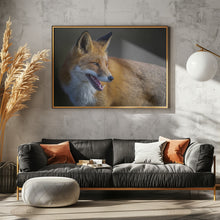 Art Prints of fox