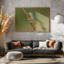 Art Prints of Fringed leaf frog