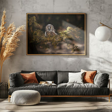 Art Prints of Long eared owl