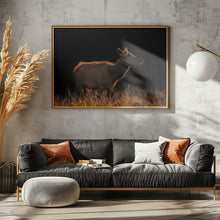 Art Prints of A Cow at Sunset