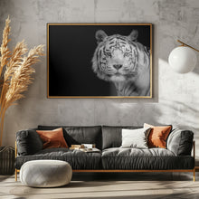 Art Prints of Bengal White Tiger