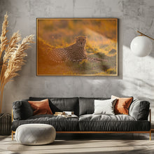 Art Prints of Into the golden light