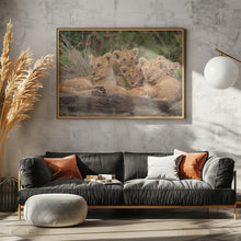 Art Prints of Cute Lion Cubs