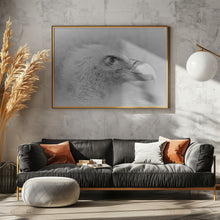 Art Prints of Bald eagle