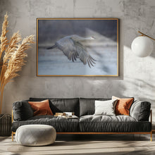 Art Prints of A Sandy Hill Crane in Flight