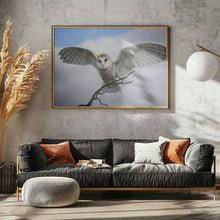 Art Prints of Snowy Owl