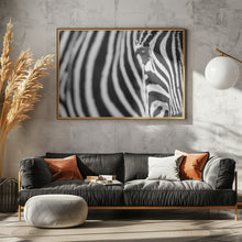 Art Prints of Zebra stripes