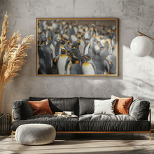 Art Prints of King penguin colony