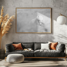 Art Prints of White horse