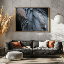 Art Prints of Feather