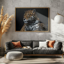 Art Prints of Captive wild