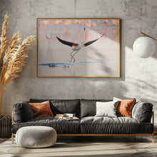 Art Prints of Flamingo dancing