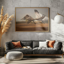 Art Prints of Flying over