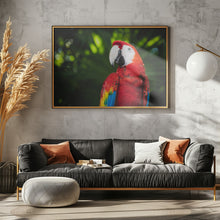 Art Prints of Colorful Parrot