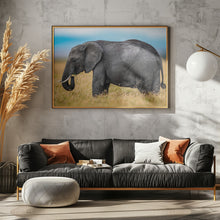 Art Prints of Elephant