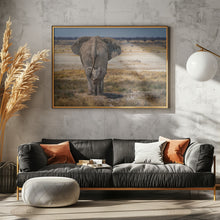 Art Prints of BabyElephant