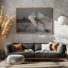 Art Prints of Snowy Owl