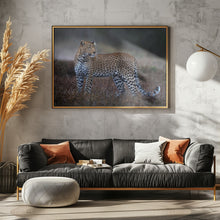 Art Prints of Leopard on the prowl