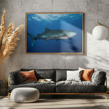 Art Prints of Whale shark