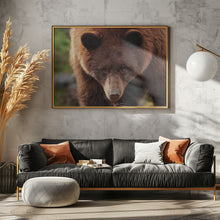 Canvas Art Print Cinnamon Bear