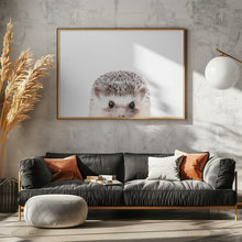 Canvas Art Print Peeking Hedgehog